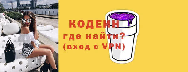 амф Тайга