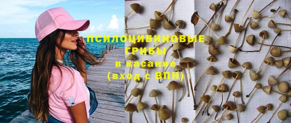 прущие крисы Аркадак