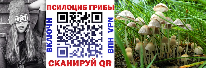 Псилоцибиновые грибы мицелий  MEGA сайт  Куйбышев 